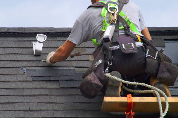 Best Commercial Roofing Services  in Level Plains, AL