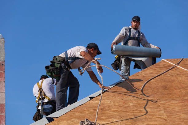 Best Roof Repair Services  in Level Plains, AL