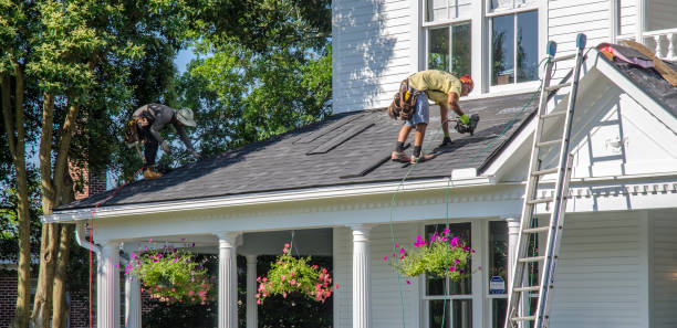 Best New Roof Installation  in Level Plains, AL